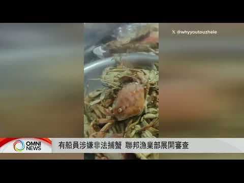 有船員涉嫌非法捕蟹 聯邦漁業部展開審查  | OMNI News Cantonese