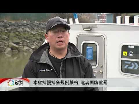 本省捕蟹捕魚規例嚴格 違者面臨重罰