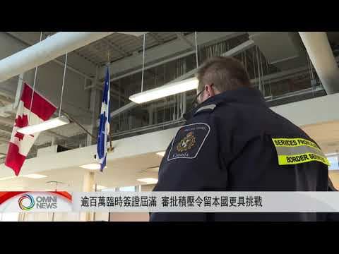 逾百萬臨時簽證屆滿 審批積壓令留加更具挑戰 | OMNI News Cantonese